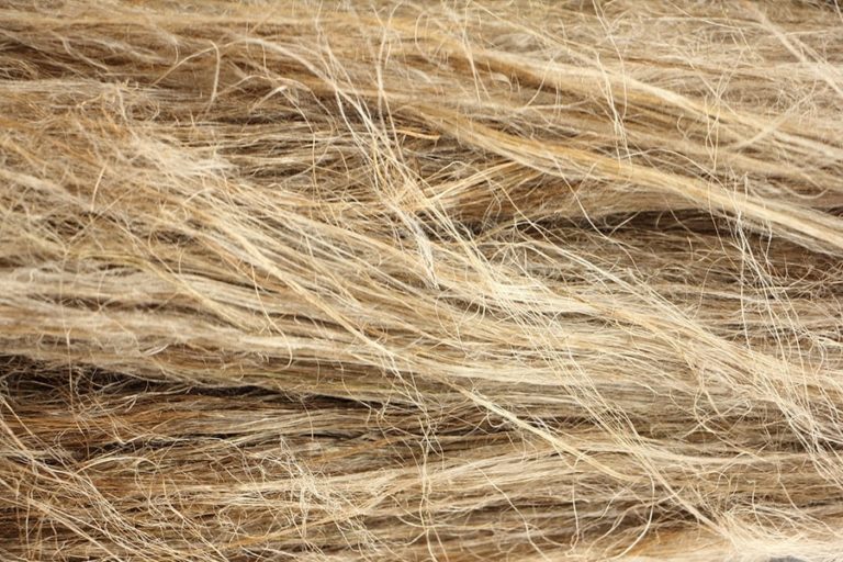 Le Lin par Aketex